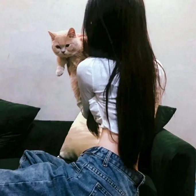 小大老传